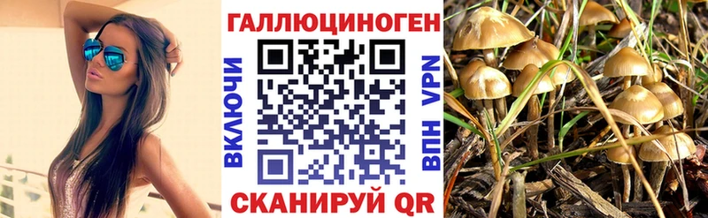 мориарти как зайти  Кемерово  Псилоцибиновые грибы Psilocybe 